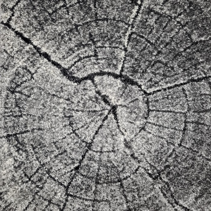 Chodnik do przedpokoju Szary Pień szer. 100 cm #8