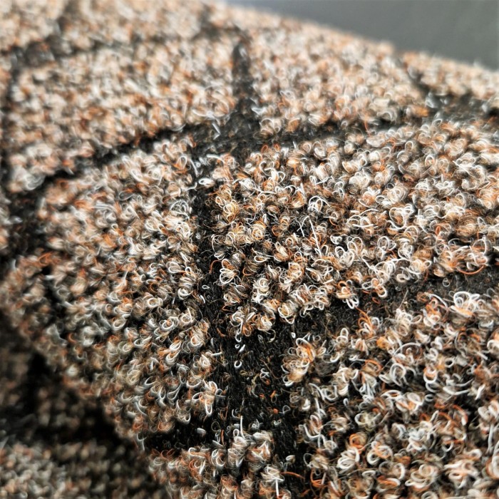 Wycieraczka Wejściowa Melbourne Beżowa 60x90 #4